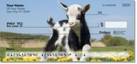 Baby Goat Personal Checks