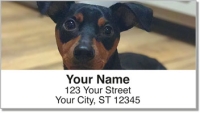 Cute Cat & Dog Address Labels