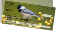 Click on Chickadee  For More Details