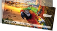 Click on Parrot  For More Details