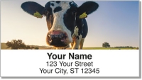 Dairy Cow Address Labels