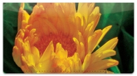 Yellow Flower Checkbook Cover