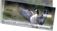 Click on Canada Geese  For More Details