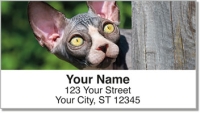 Sphynx Cat Address Labels