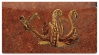 Octopus Checkbook Cover