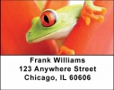 Frogs Address Labels