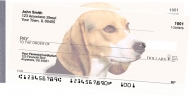 Click on Beagles  For More Details