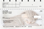Sleepy Kittens  Personal Checks
