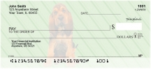 Bloodhound Pups Keith Kimberlin  Checks
