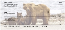 Brown Bears Checks