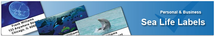 Sea Life Address Labels Address Label