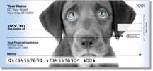 Black Labrador Personal Checks