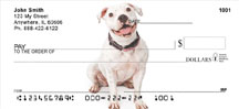 Pit Bull Dog Personal Checks