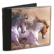 Learn more about Equus Men's Wallet with RFID