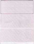 Learn more about Burgundy Lines Blank Stock for Computer Voucher Checks Top Style