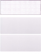 Learn more about Violet Safety Blank Stock for Computer Voucher Checks Top Style