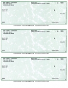 Learn more about Green Marble 3 Per Page Laser Checks