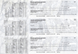 Learn more about Marble Payroll Designer Business Checks