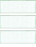 Learn more about Green Safety Blank Stock For 3 to a Page Voucher Computer Checks