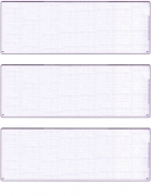 Learn more about Violet Safety Blank Stock For 3 to a Page Voucher Computer Checks