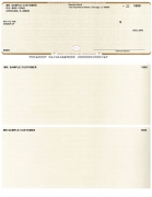 Learn more about Tan Safety High Security Top Style Voucher Computer Checks