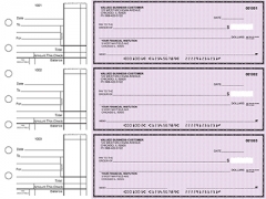 Violet Safety Standard Business Checks