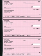 Learn more about Pink Safety Secretary  Deskbook Checks