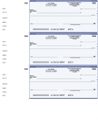 Learn more about Blue Safety 3 Per Page Wallet Checks