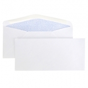 Learn more about #9 Security Envelope, 3 7/8'' x 8 7/8''