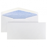 Learn more about #10 Security Envelope, 4 1/8'' x 9 1/2''