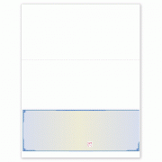 Learn more about Deluxe Security Bottom Blank Laser Check