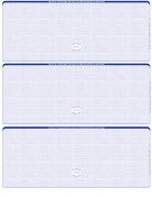 Blue Safety Blank High Security 3 Per Page Laser Checks