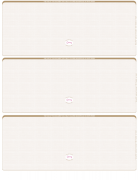 Tan Safety Blank High Security 3 Per Page Laser Checks