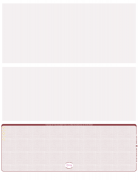 Burgundy Safety Blank High Security Bottom Laser Checks