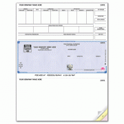 Learn more about Deluxe High Security Laser Mid Check