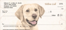 Yellow Lab Dog Personal Checks