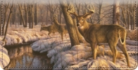 Winter Calm Whitetail Deer Checkbook Cover