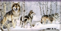 Click on Call of the Wild Checkbook Cover For More Details