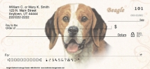 Beagle Dog 1 Checks