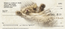 Click on Cat-itude  Checks For More Details