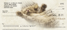 Click on Cat-itude Checks For More Details