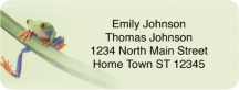 Click on Froggy Fun Booklet of 150 Address Labels For More Details