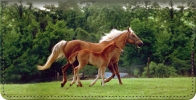 Click on Unbridled Joy Checkbook Cover For More Details