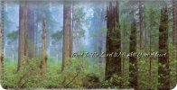 Click on Prayers of Serenity Checkbook Cover For More Details