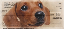Faithful-Friends---Dachshund-Dog-Checks