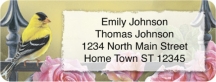 Backyard Beauties Booklet of 150 Address Labels