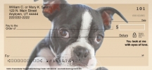 Faithful Friends - Boston Terrier Dog Personal Checks