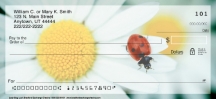 Click on Lady Bug Luck Daisies Checks For More Details