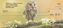 Click on Baby Owls Checks For More Details