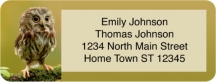 Click on Baby Owls Booklet of 150 Address Labels For More Details